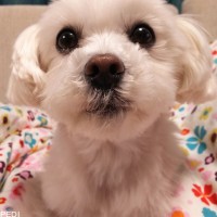 まりんちゃん