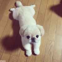 ほーやんくん