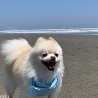 ぽん太くん