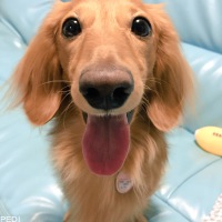 りうくん