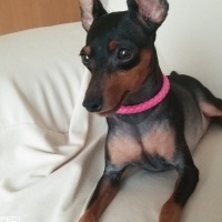 心愛ちゃん