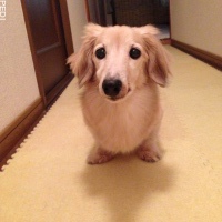 俊太くん