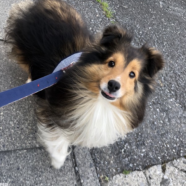 さつきくん