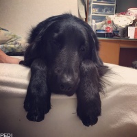 ルネちゃん