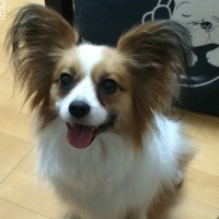 ポポくん