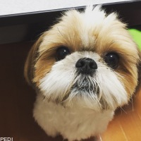 るうちゃん