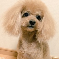 くうくん