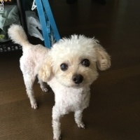 すみれちゃん