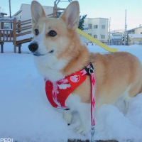めいちゃん