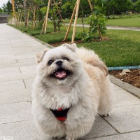 天太くん