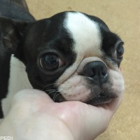 ウナちゃん