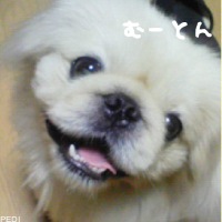 むーとんくん