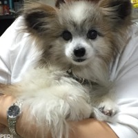ソランくん