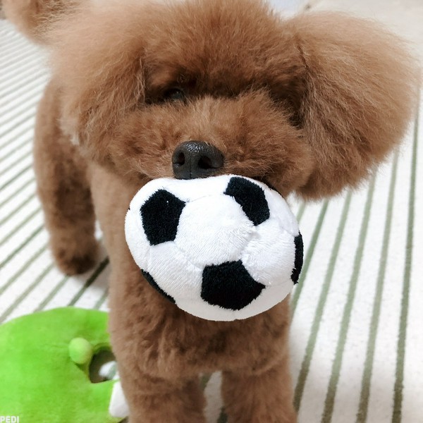 のすけくん