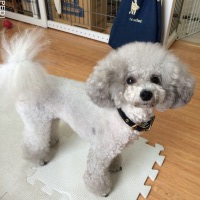 ウランちゃん