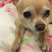 らみちゃん