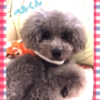 ベルくん