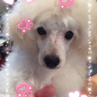 瑠珂ちゃん