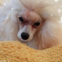 璃瑠ちゃん