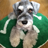 kaiくん