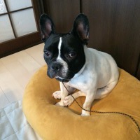 ドリくん