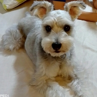 もっちくん