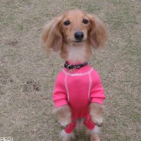 ルナちゃん