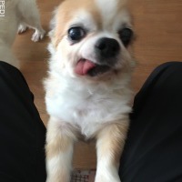 アレックスくん