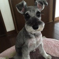 ひめちゃん