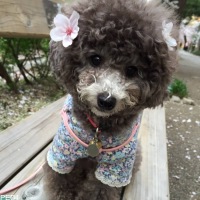 ルーシーちゃん