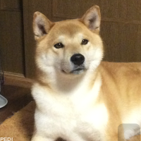 陸くん