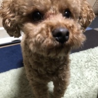 もへじくん