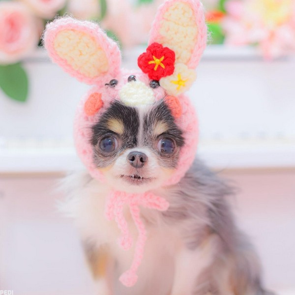 ぽてぃも。ちゃん