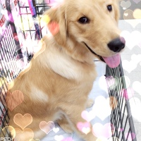 翔潤くん