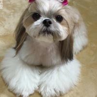 蘭ちゃん