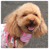 シェリちゃん