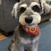 アオちゃん