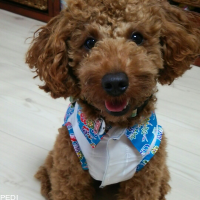 まるくん