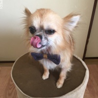 春くん
