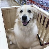 のいちゃん