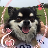 EVEくん
