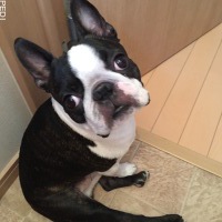 ぼんどくん