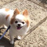 ラッキーくん