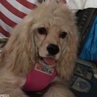 竹之助くん