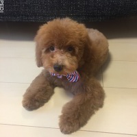 メイちゃん