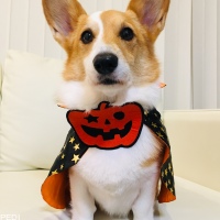 パフィーちゃん