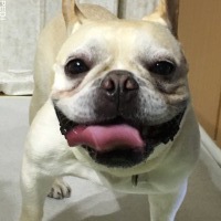 さくらちゃん
