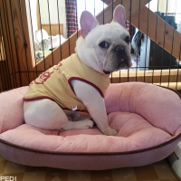 レノンくん