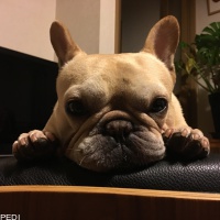 ルイくん