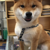 源太くん